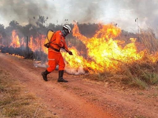 Uso de fogo para limpeza e manejo de áreas rurais está proibido de 1º de agosto a 30 de novembro no Maranhão - Imirante.com