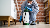 How much does an exterminator cost? (2024 guide) | CNN Underscored