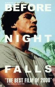 Before Night Falls (film)