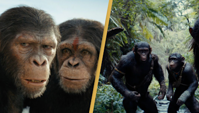 Review: Kingdom of Planet of Apes successfully delivers wild animal antics even without Andy Serkis