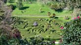 ‘Secret Garden on steroids’: the Cornish cottage that comes with its own jungle and private beach