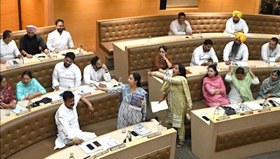 Ruckus in House as BJP, AAP councillors trade barbs