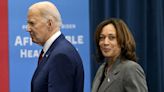 Biden has backed Harris. What happens next in US election?