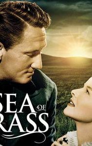 The Sea of Grass (film)