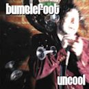 Uncool (album)