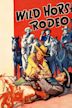 Wild Horse Rodeo