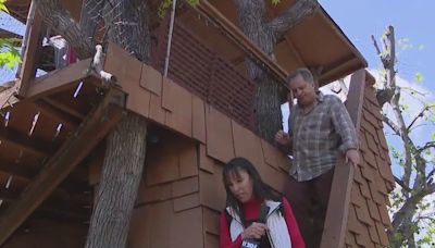 Iconic 'Boney Island' treehouse faces teardown