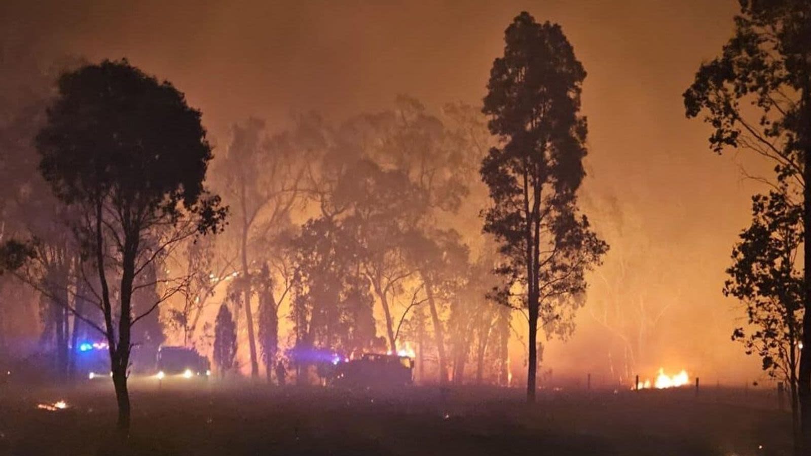 Australia: Fight the climate change disaster, become an SEP electoral member