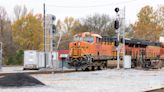 Environmental groups sue BNSF over grizzly bear deaths