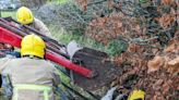 Look: Small donkey rescued from muddy drainage ditch