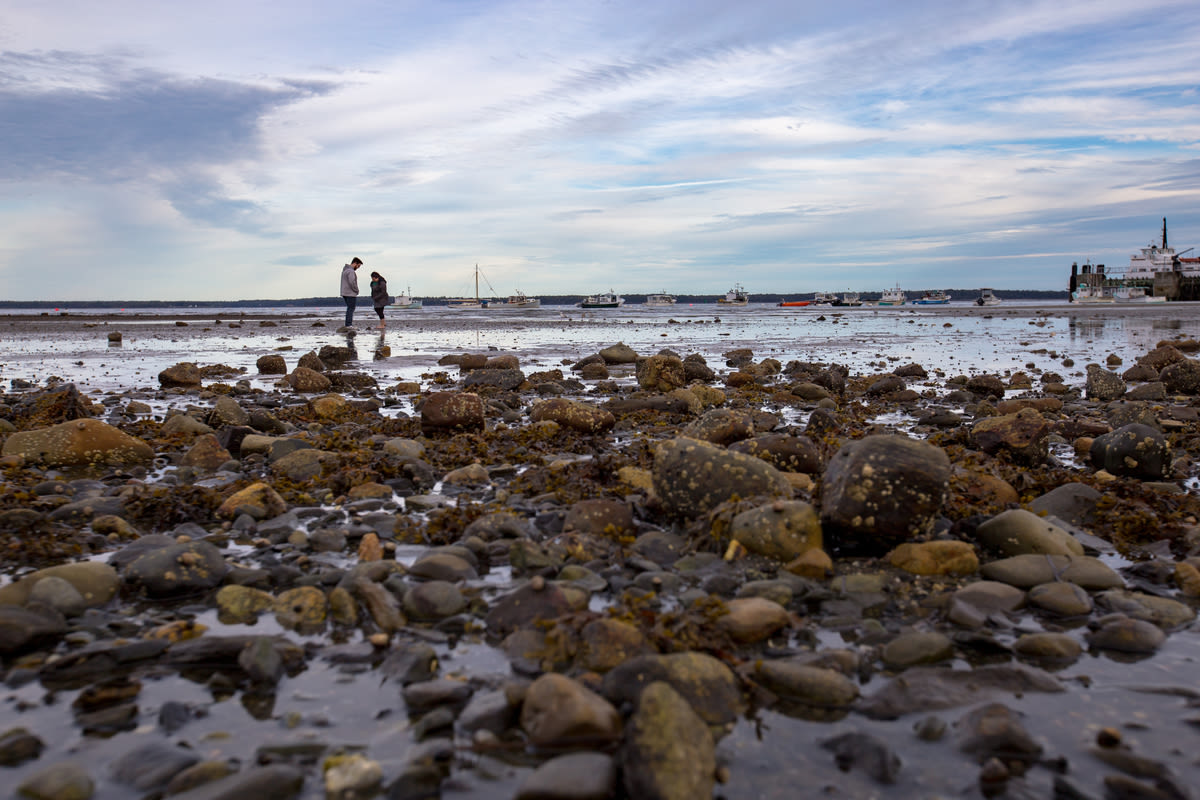 Death of man found on Lincolnville beach ruled a suicide