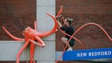 Curious SouthCoast: Why was the giant squid removed from the New Bedford Whaling Museum?