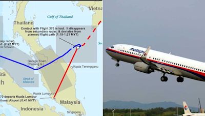 MH370 mystery solved? Expert claims to have found aircraft in Cambodian jungle using Google Maps