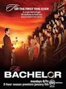 The Bachelor (American TV series) season 13