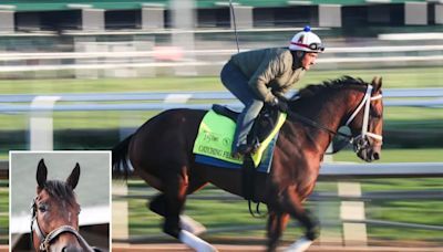 Post positions, morning-line odds set for 2024 Kentucky Derby