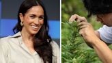 Meghan shuts down rumours Netflix show is being filmed on cannabis farm