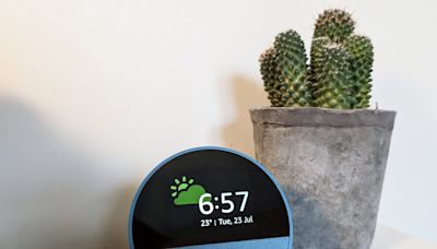 Amazon Echo Spot (2024) review: should you buy an Alexa alarm clock?