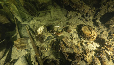 Authorities forbid drinking ancient champagne found in shipwreck