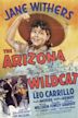 The Arizona Wildcat