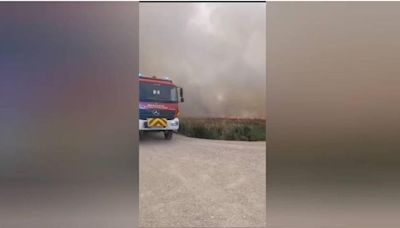 La Guardia Civil de Navarra investiga las causas de un incendio de vegetación agrícola en Sesma