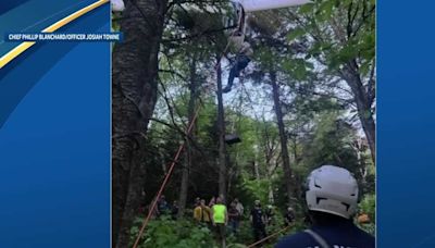 Glider pilot gets stuck in tree after crash in White Mountains, Fish & Game says