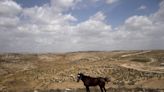 Israeli government quietly sends millions to unauthorized West Bank settler outposts
