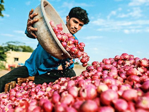 Remember the onion price shock last year? This time, the govt is acting early