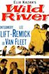 Wild River (film)