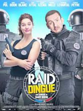 Raid dingue