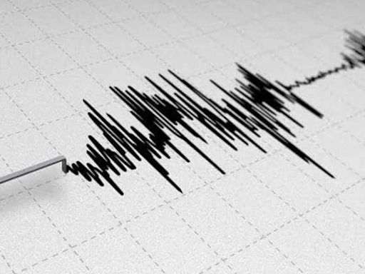 Earthquake today: Quake of 4.9 magnitude hits Iran killing four, 120 injured | Today News