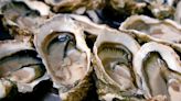 Why you might want to avoid eating raw oysters, according to a food poisoning expert