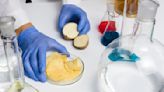 New genetically engineered potato could be a gamechanger for snacks