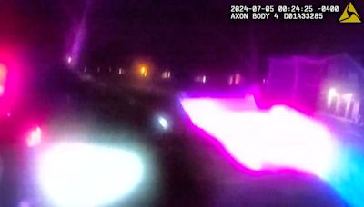 VIDEO: Fleeing suspect runs over Florida deputy with a car