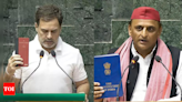 Constitution in hand, Rahul, Akhilesh and others make a point | India News - Times of India