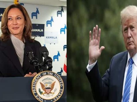 Allan Lichtman Weighs In: Will Kamala Harris or Donald Trump prevail in November?