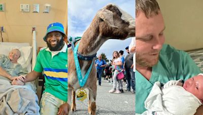 Finally, some good news: UPS driver saves woman's life, N.L marathon sees unlikely 4-legged medalist, gene therapy allows father to see newborn