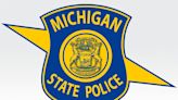 Girl escaped kidnapping attempt as brother used slingshot to pelt attacker, Michigan police say