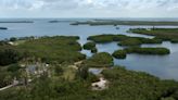 Will Manatee County and Florida still buy Rattlesnake Key land? The deal has an issue