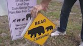 Wildlife calls surge as Florida grapples with bears, coyotes & raccoons