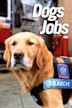 Dogs on the Job