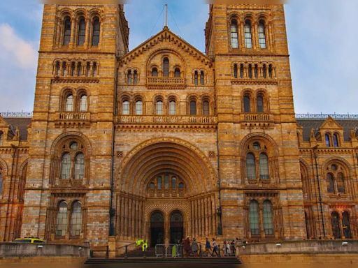 London: A family adventure at the Natural History Museum