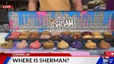 Where is Sherman? Cookie Plug