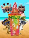 Madagascar: A Little Wild