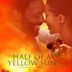 Half of a Yellow Sun (film)