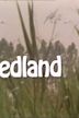 Riedland