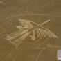 NAZCA LINES Condor