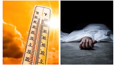 Heat Stroke Claims Two Lives In Bhopal Within 24 Hours As Temperature Breaches 43°C; One Fell Dead On Farm, Other On...