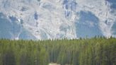 Grizzly bear kills couple in Canada's Banff National Park