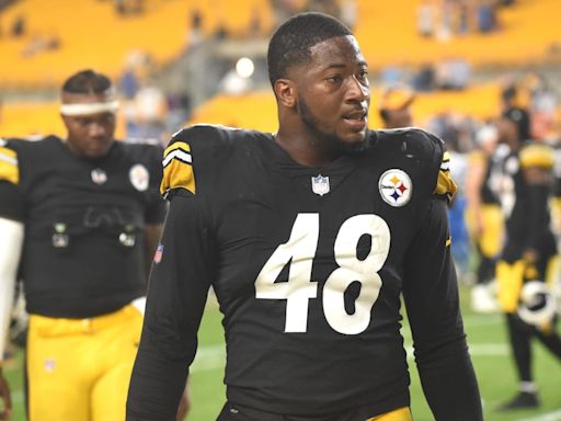 Ravens Sign Former Steelers LB