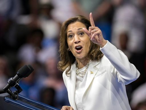 Opinion - Laugh out loud: Harris is held to an unfair standard compared to Trump?